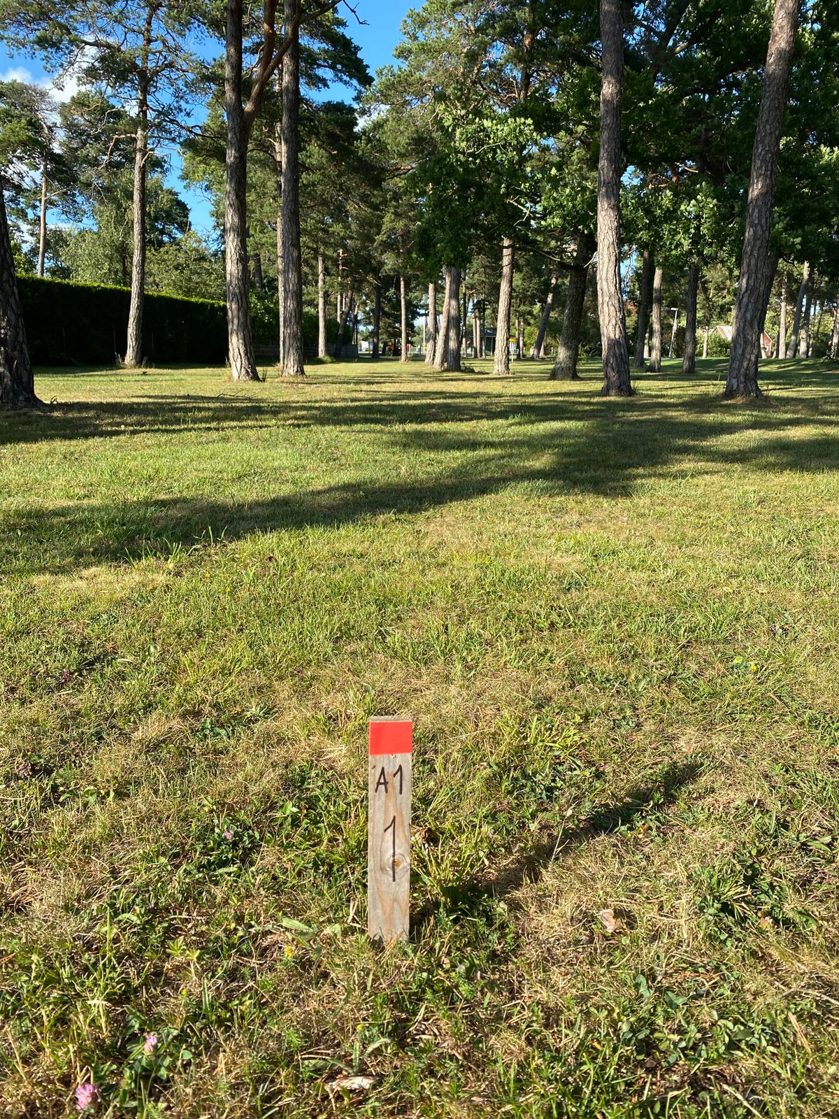 Tee 1
