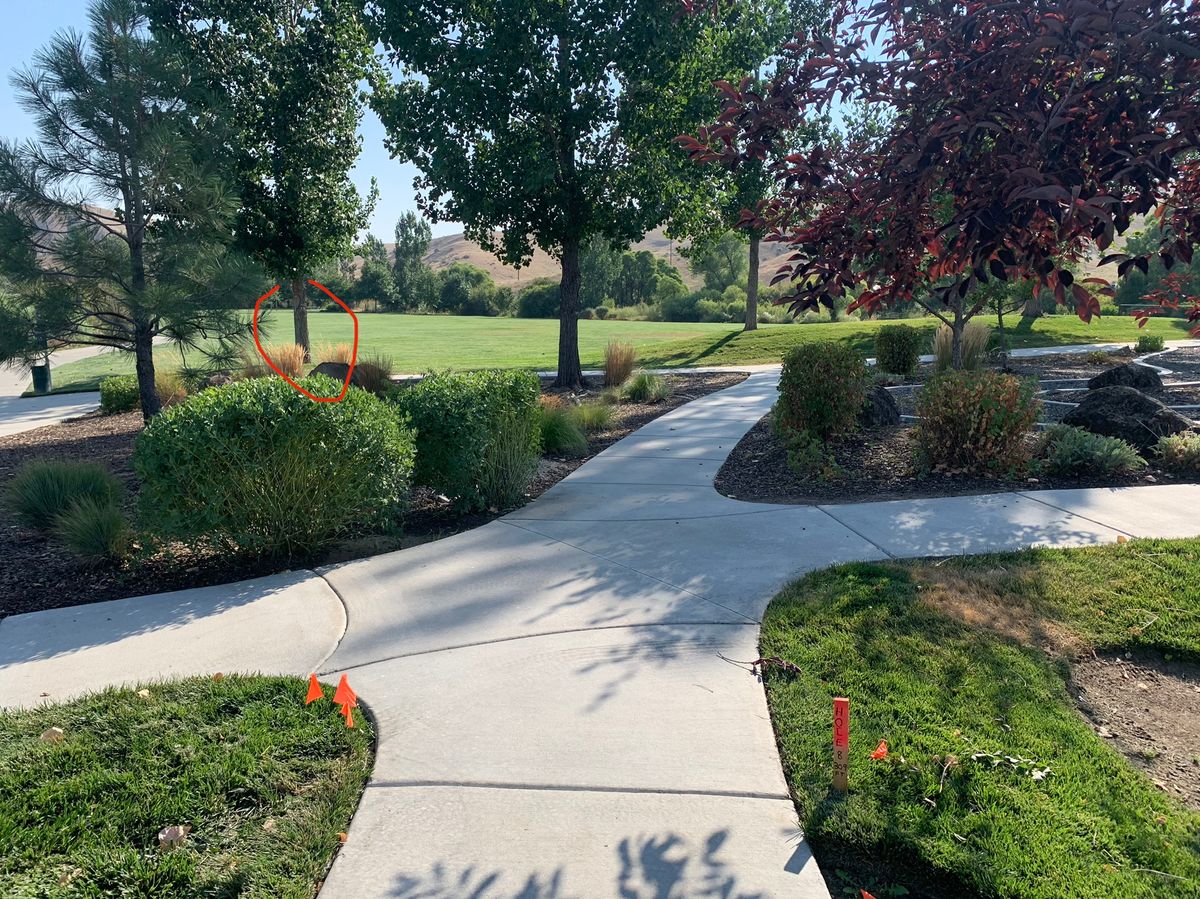 Hole 8. Open field on the left.