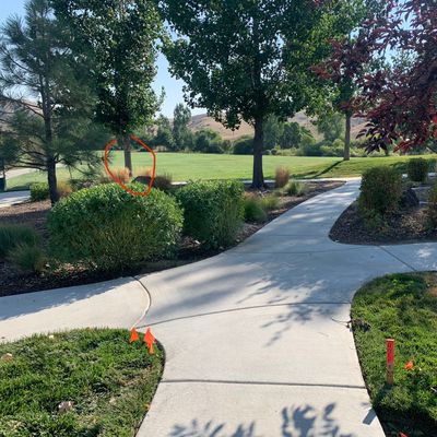Hole 8. Open field on the left.