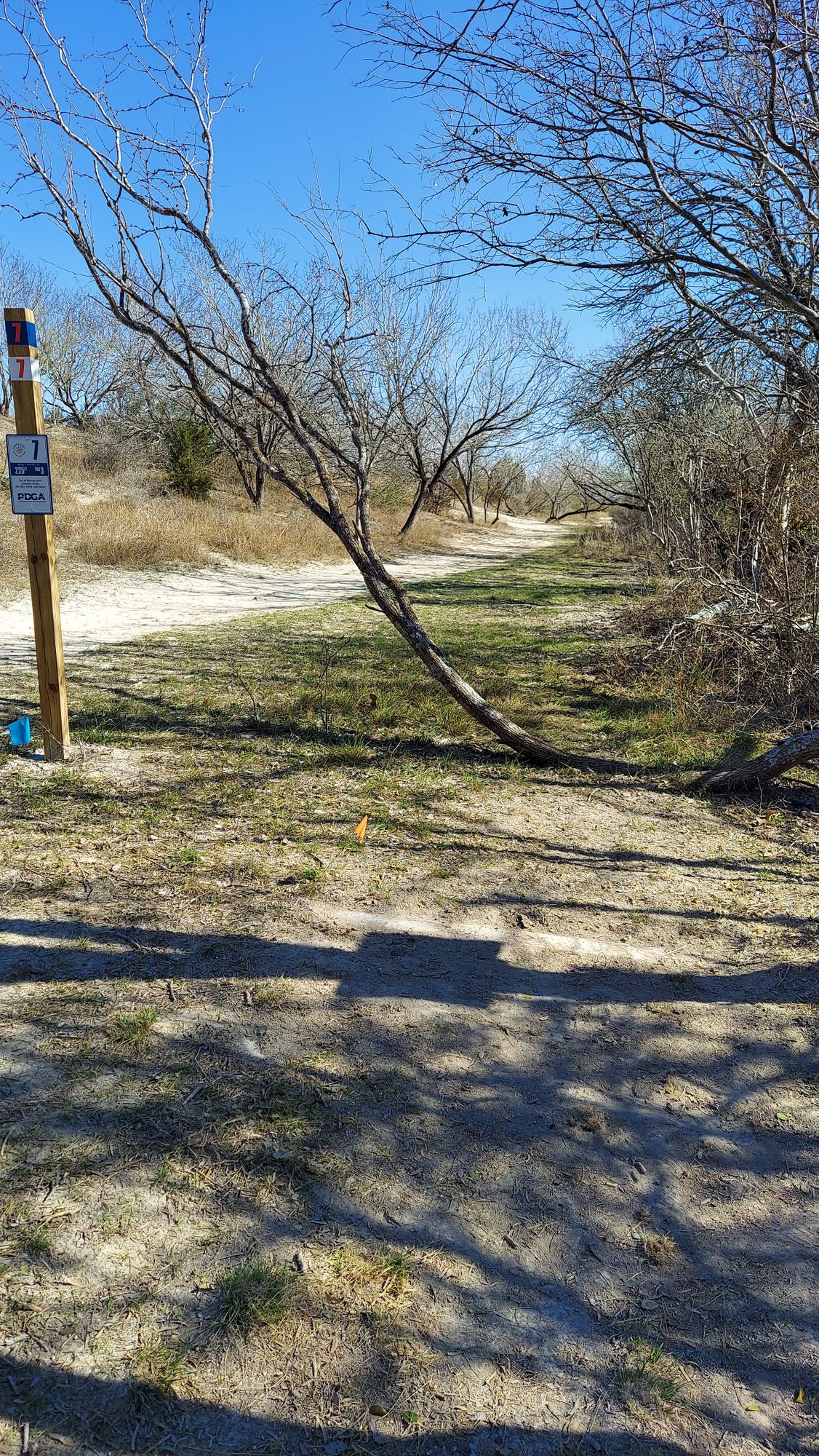 Hole 7. 225 ft, sloped green on the left side.