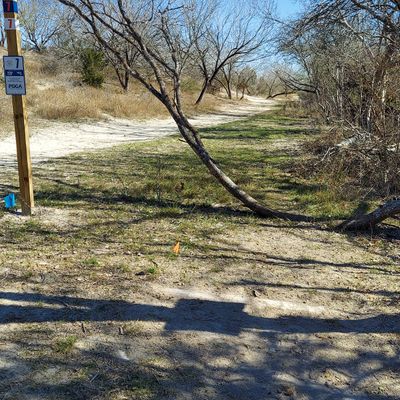 Hole 7. 225 ft, sloped green on the left side.