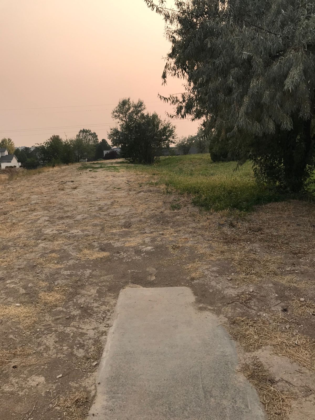 Hole 9: Basket is behind center tree on right side
