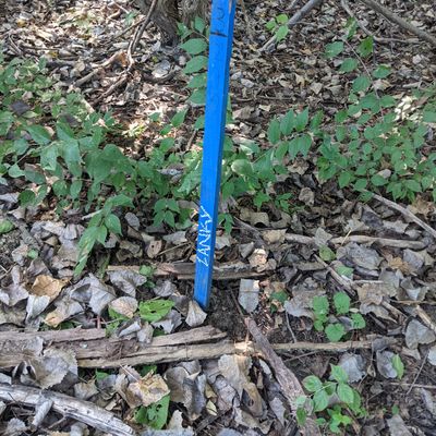 I guess this the the blue tee for hole 3.  I couldn't find the red tee.