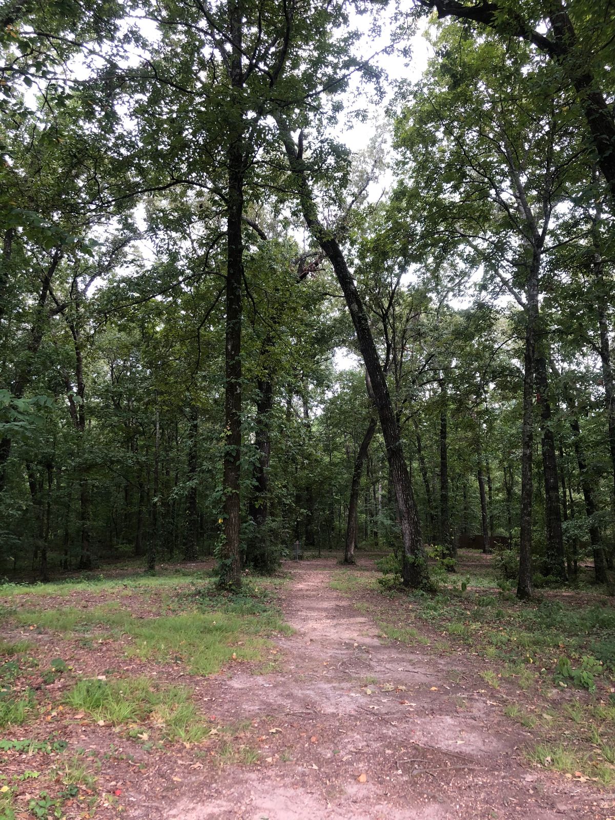 Hole 10