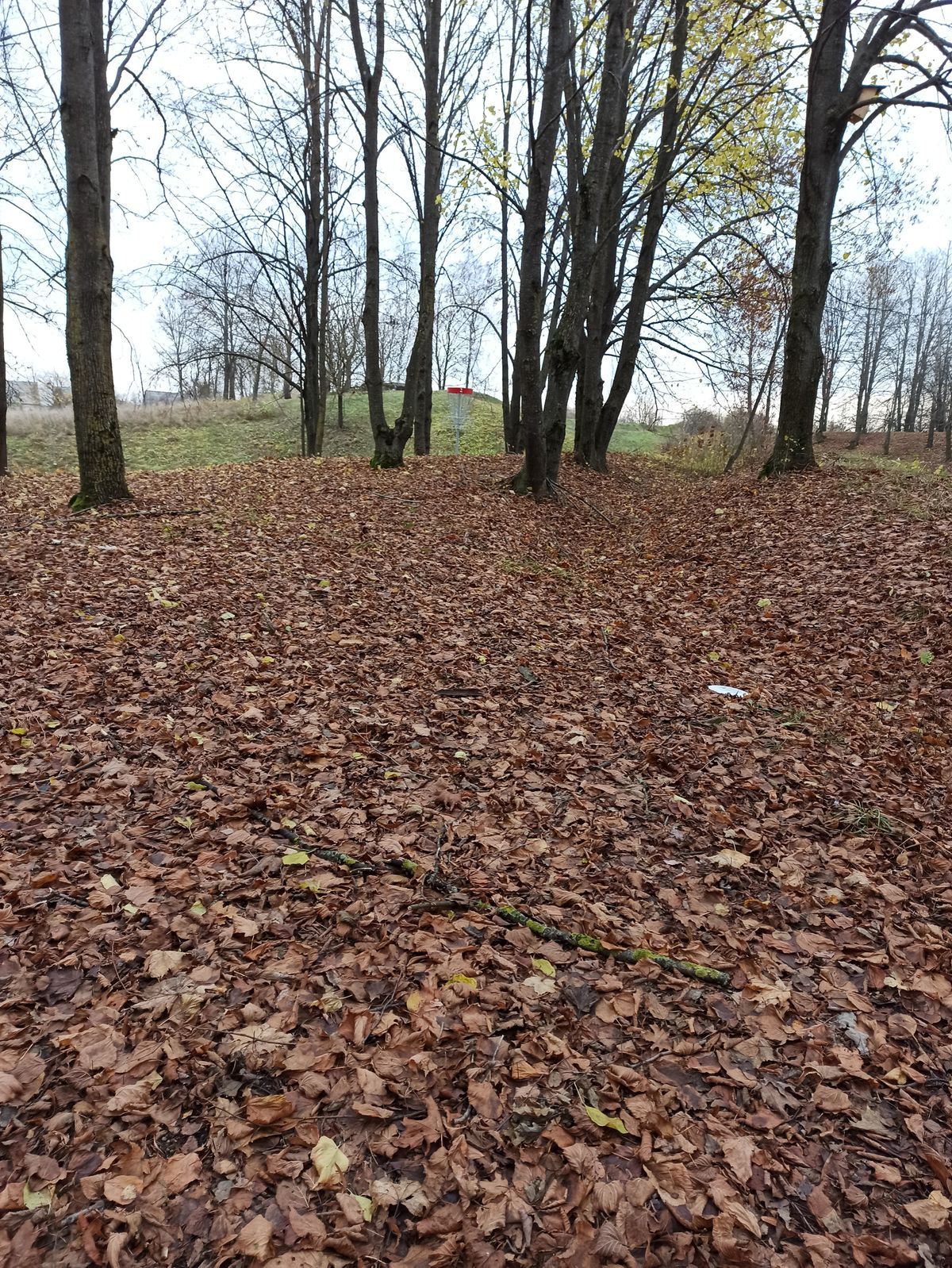 2nd approach between trees, a lot leaves and slopes, good opportunity to lose disc :)