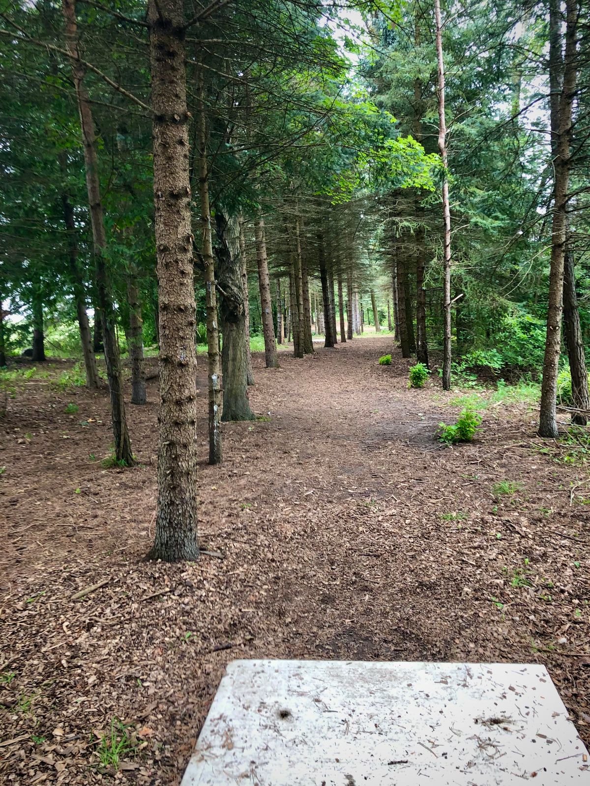 Hole 13 is where potentially good rounds prove themselves.