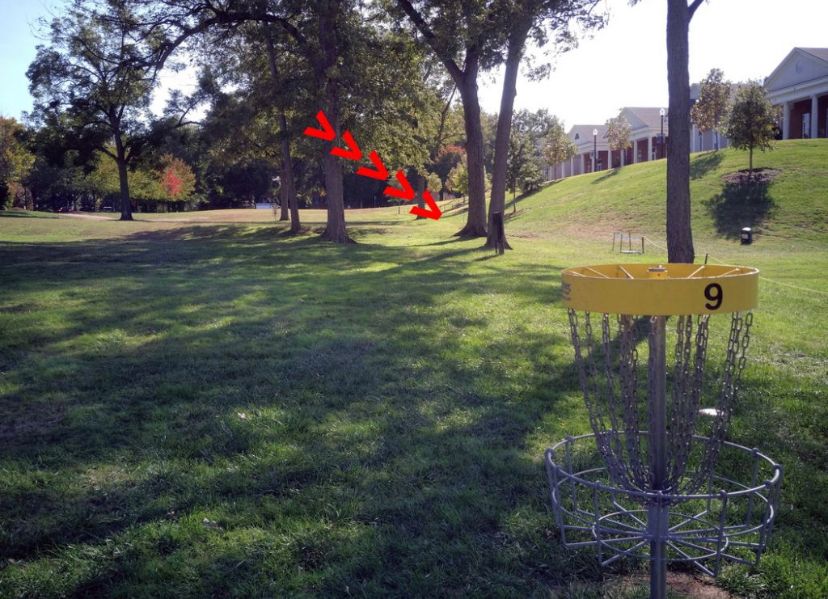 #9 basket to tee
