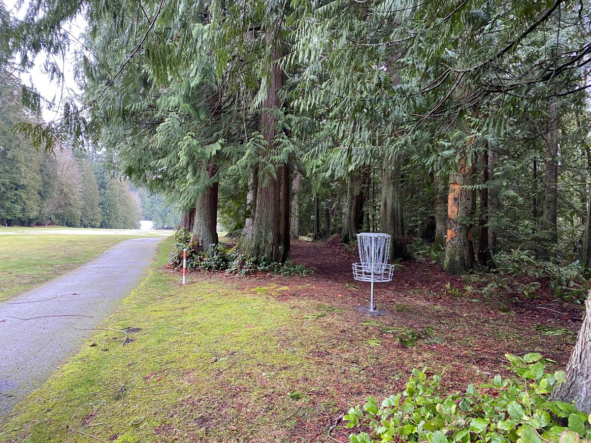 Hole 14 ‘Stinging Nettle’ green