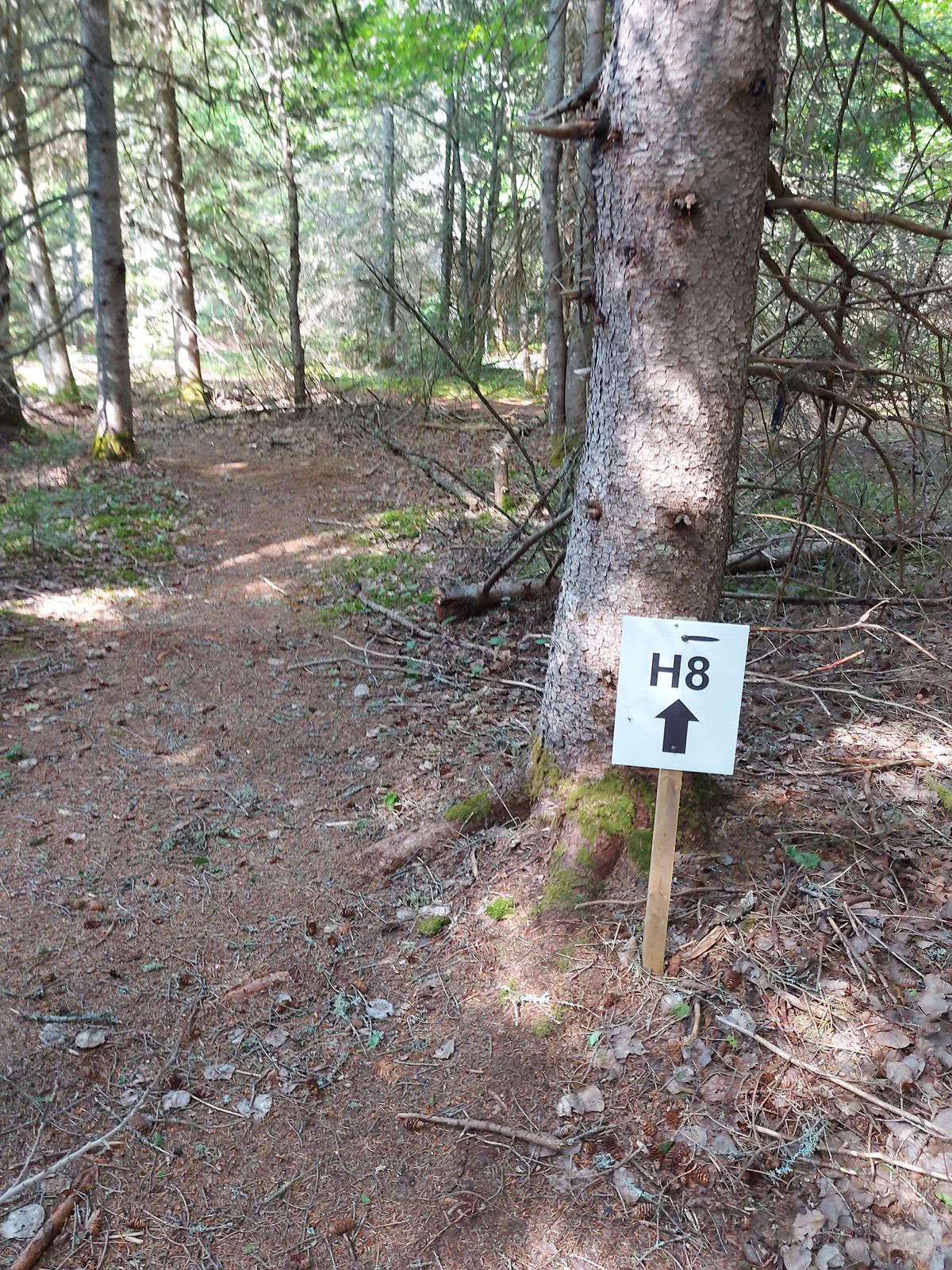 To hole 8 👍👍👍👍👍👍👍👍