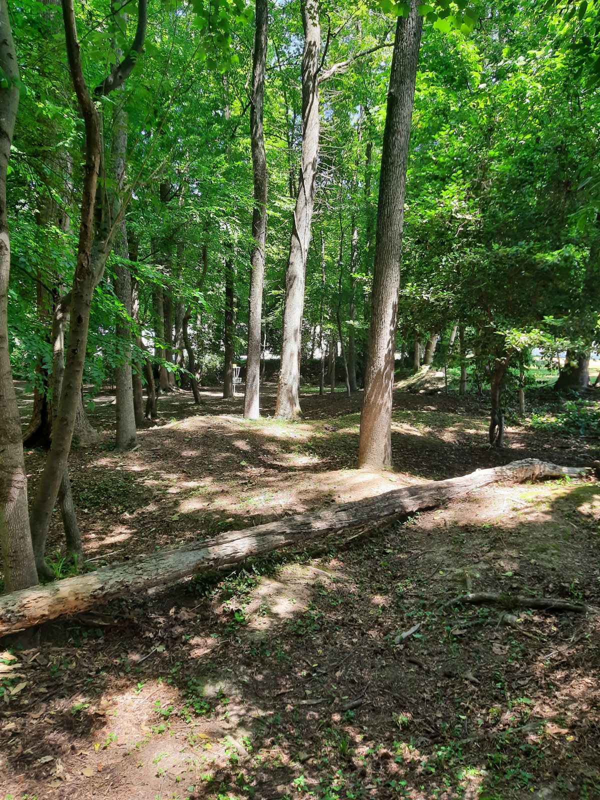 Hole 1 Approach White Alt