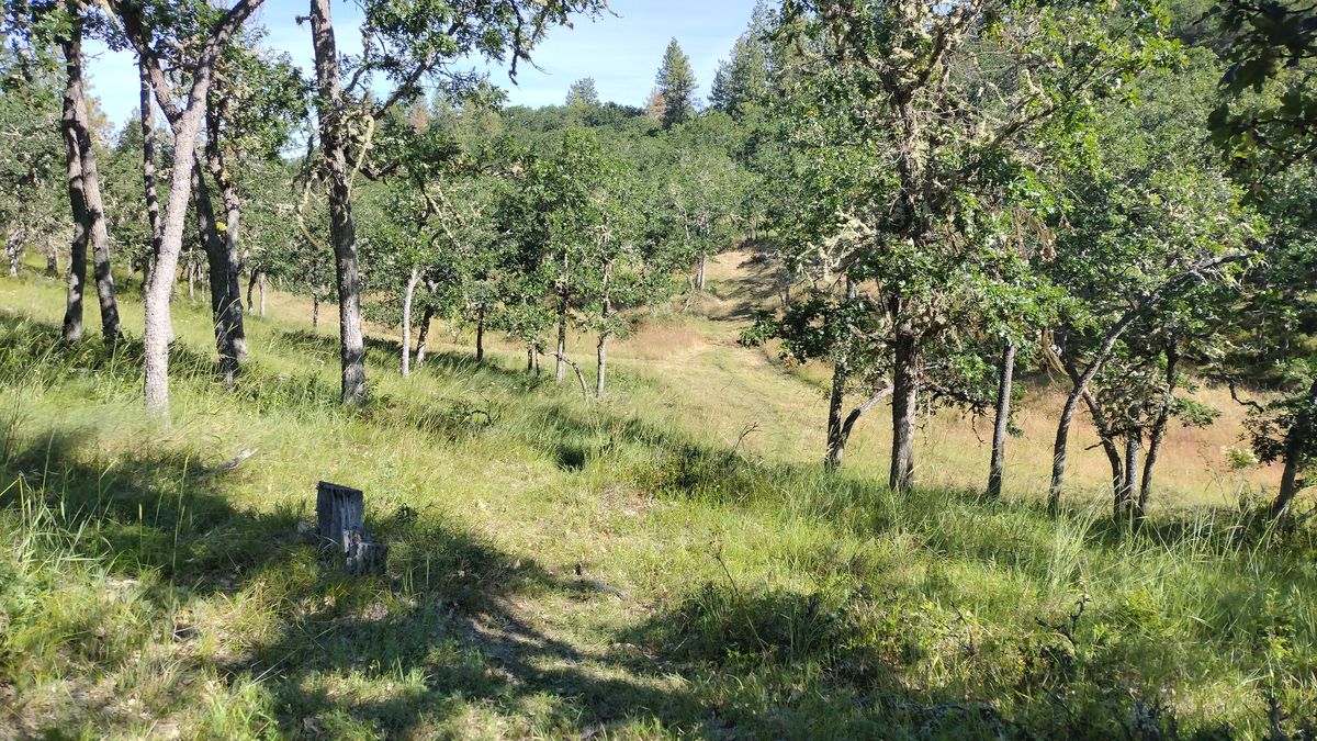 Hole 7