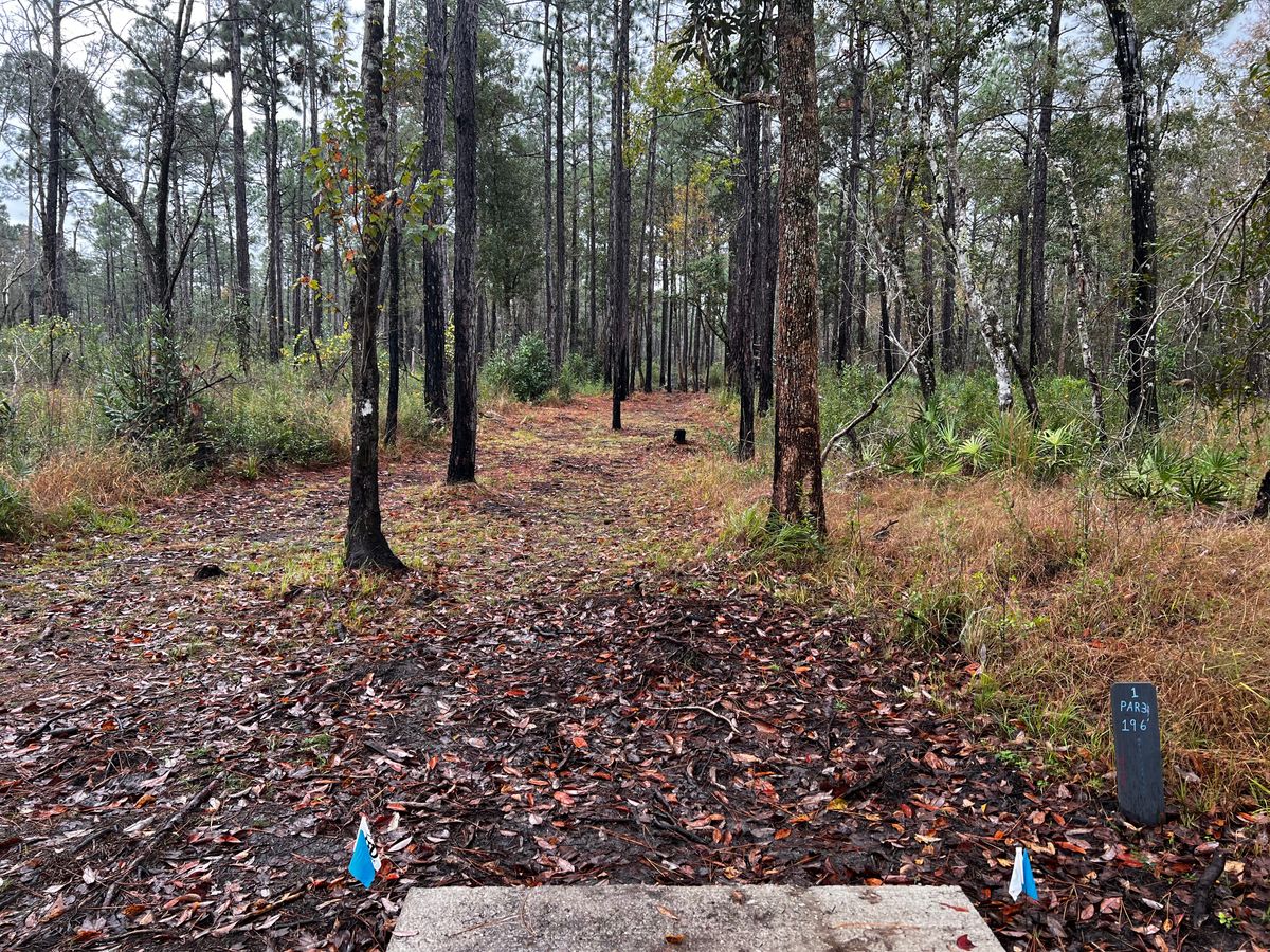 Hole 1 - Blue and White