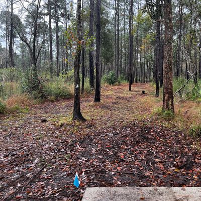Hole 1 - Blue and White