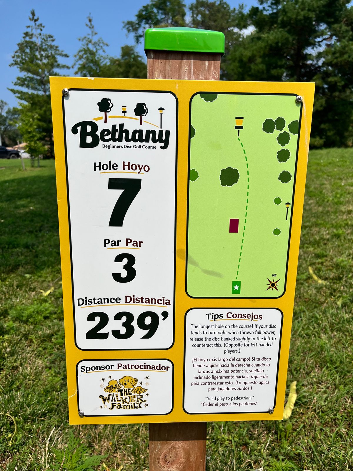 Hole 7