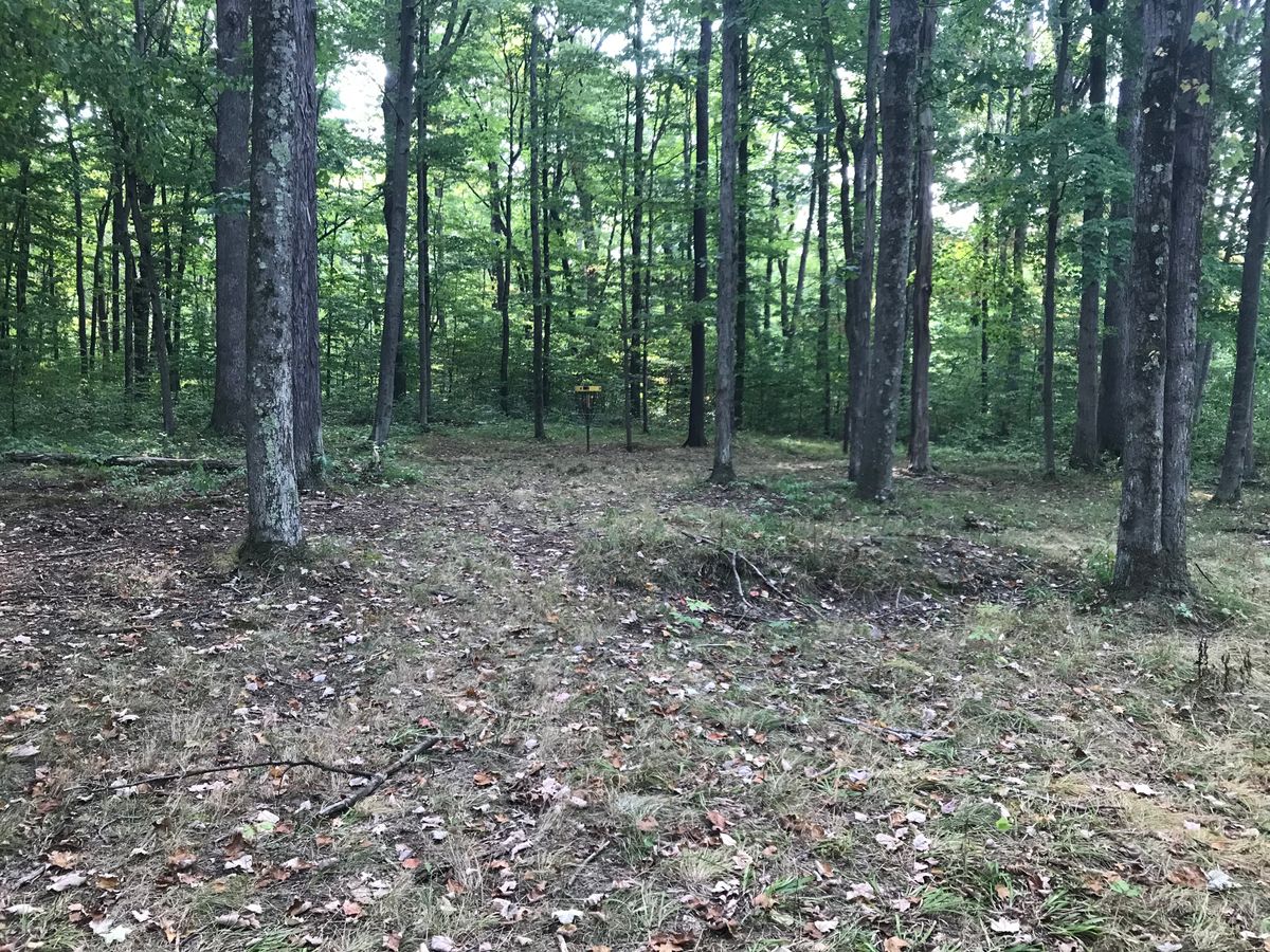 #9 fairway/green