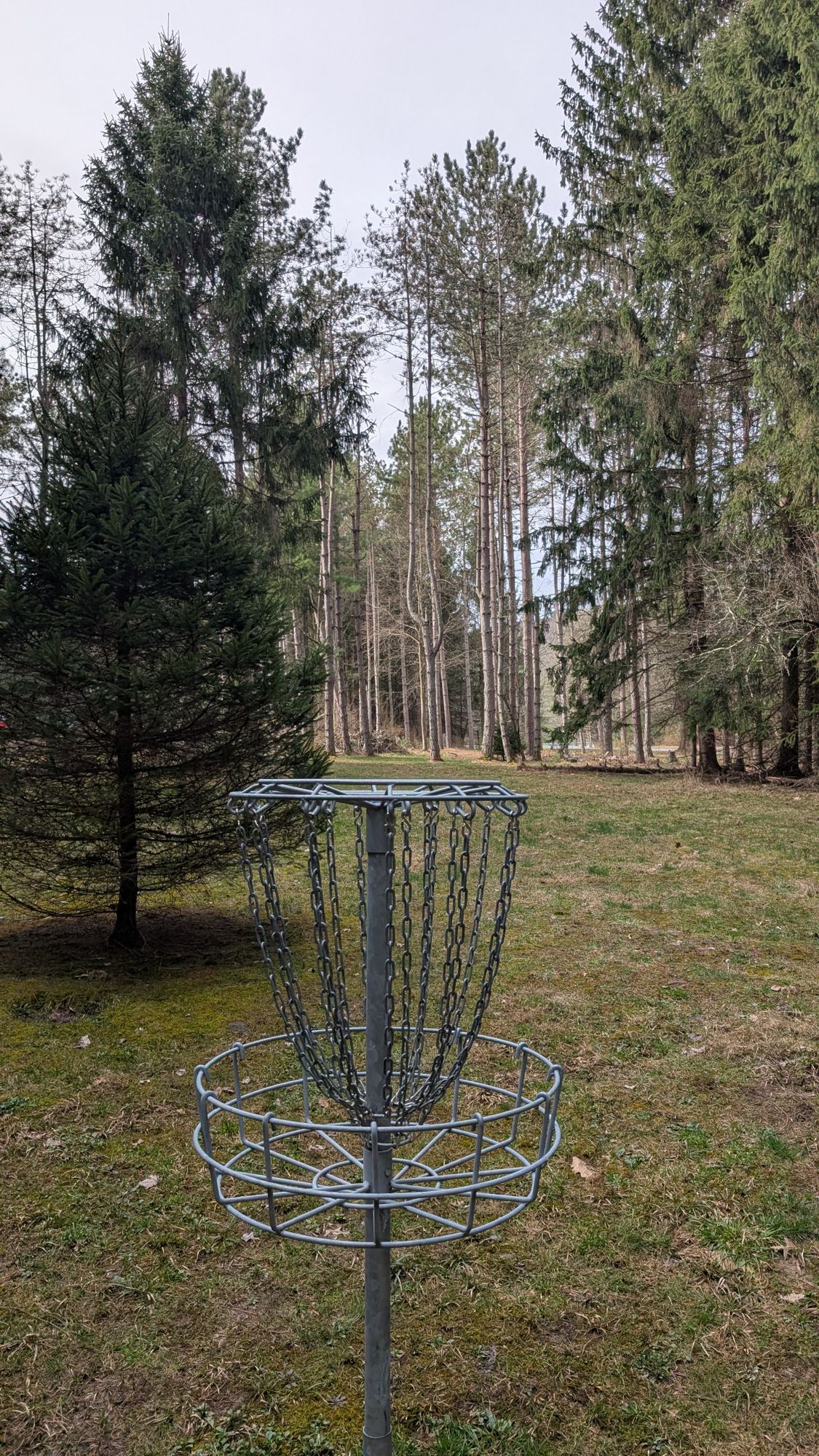 Hole 4 basket towards tee