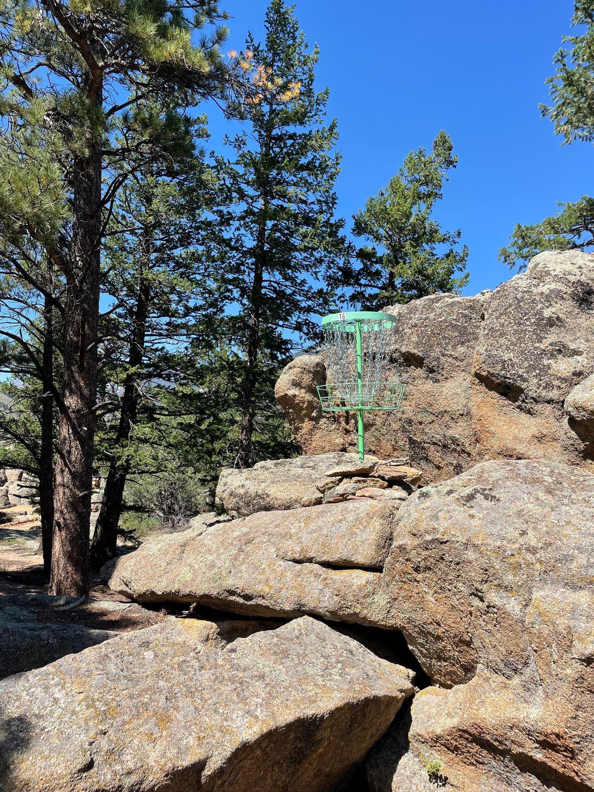 Hole 16 basket