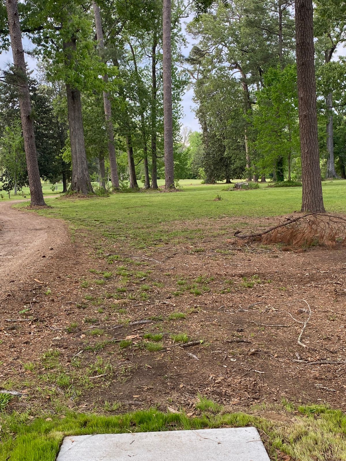 Tee 6
