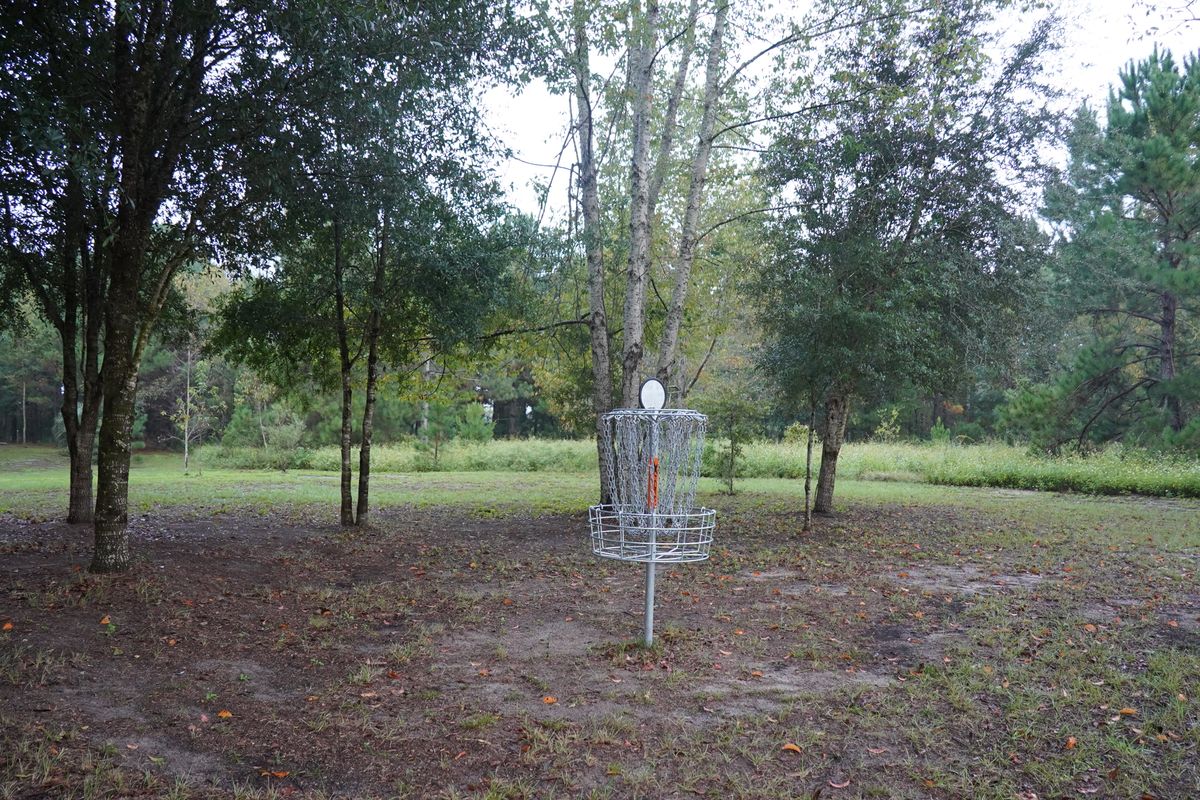 Hole 8’s basket looking back  (tee left side of the screen)