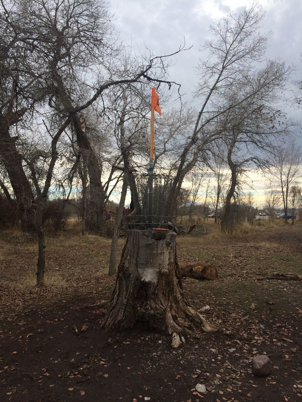 Art Dye Disc Golf Park Course Photos