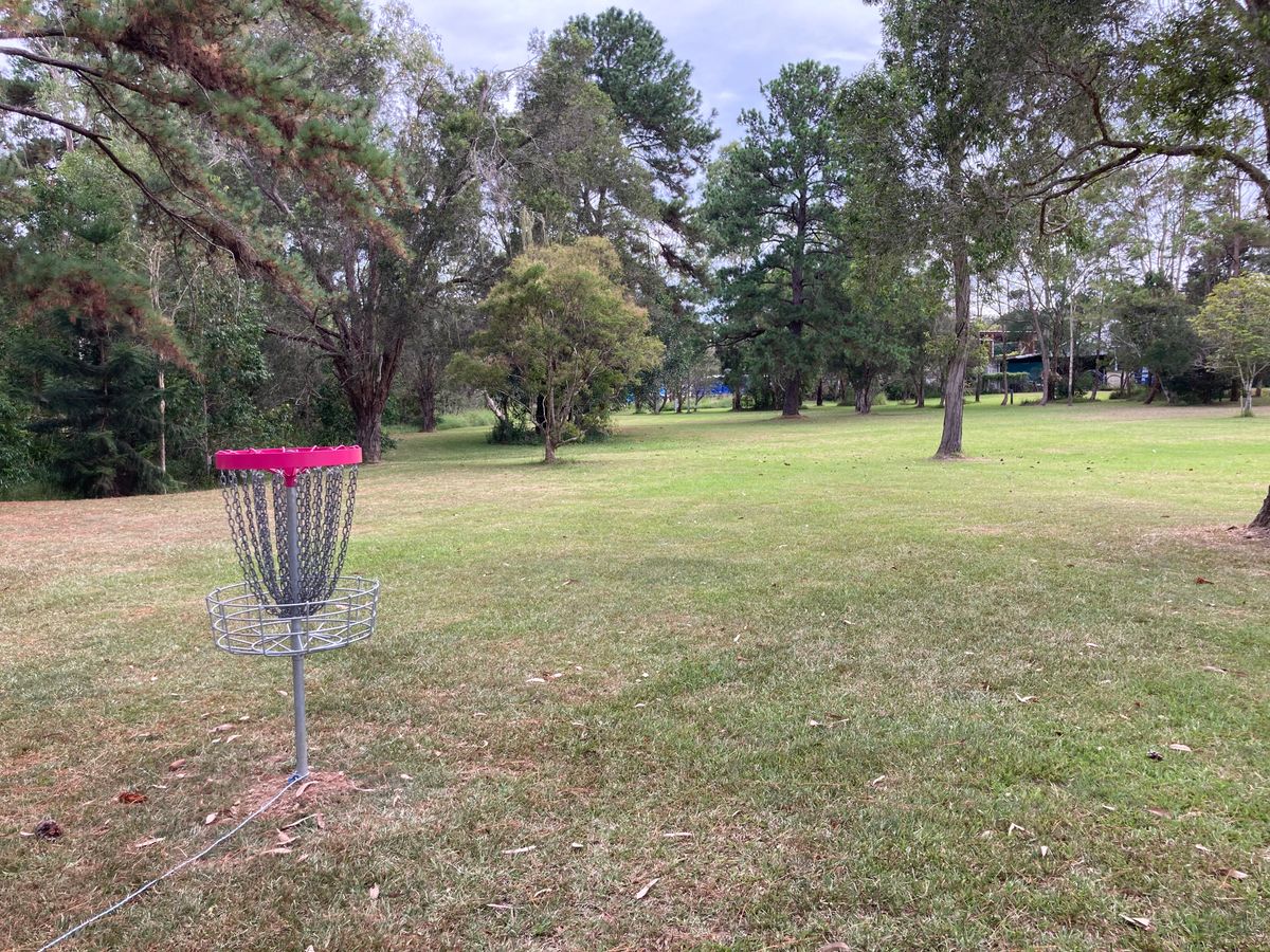 Hole 8 basket