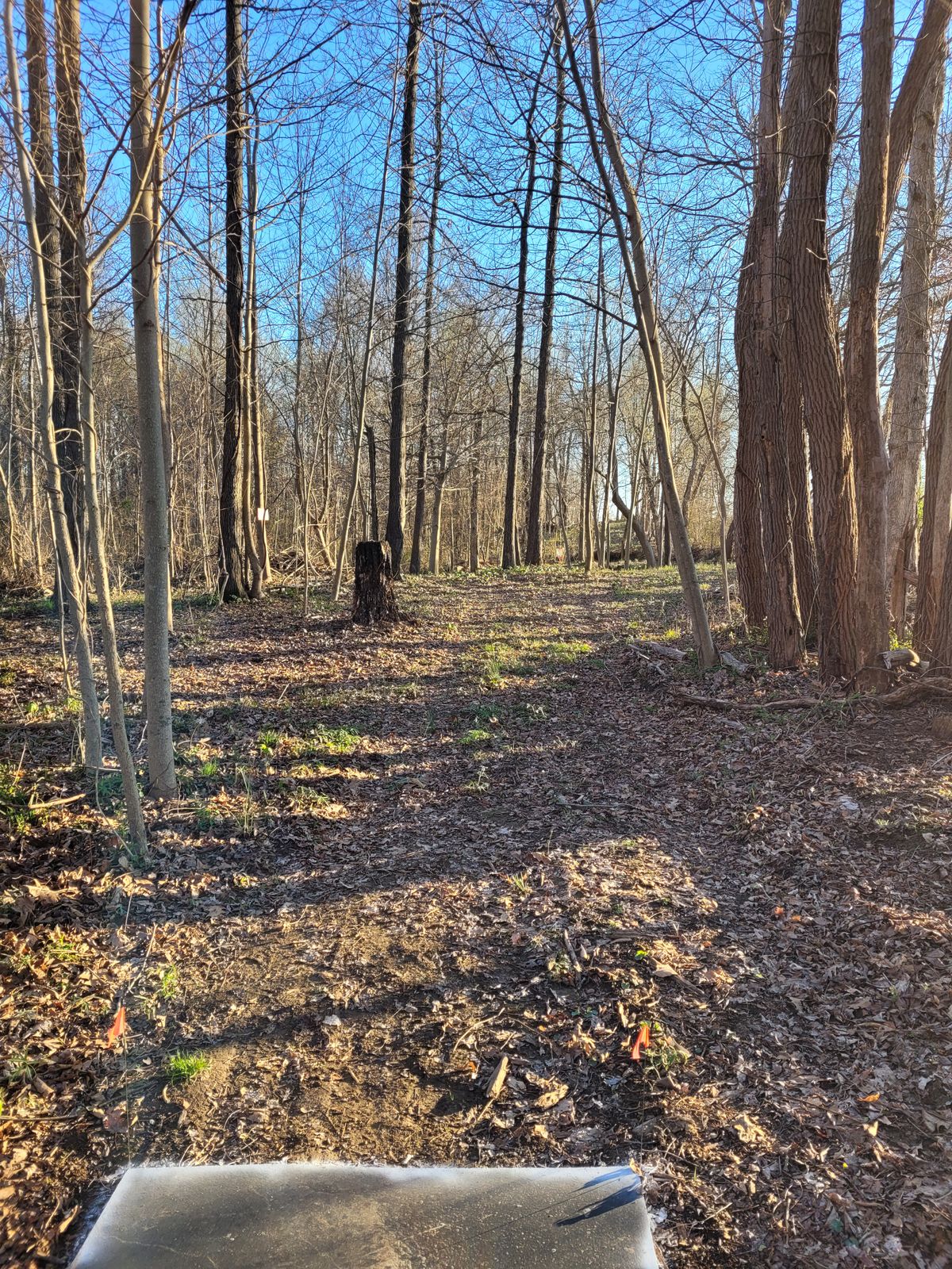 Hole 15