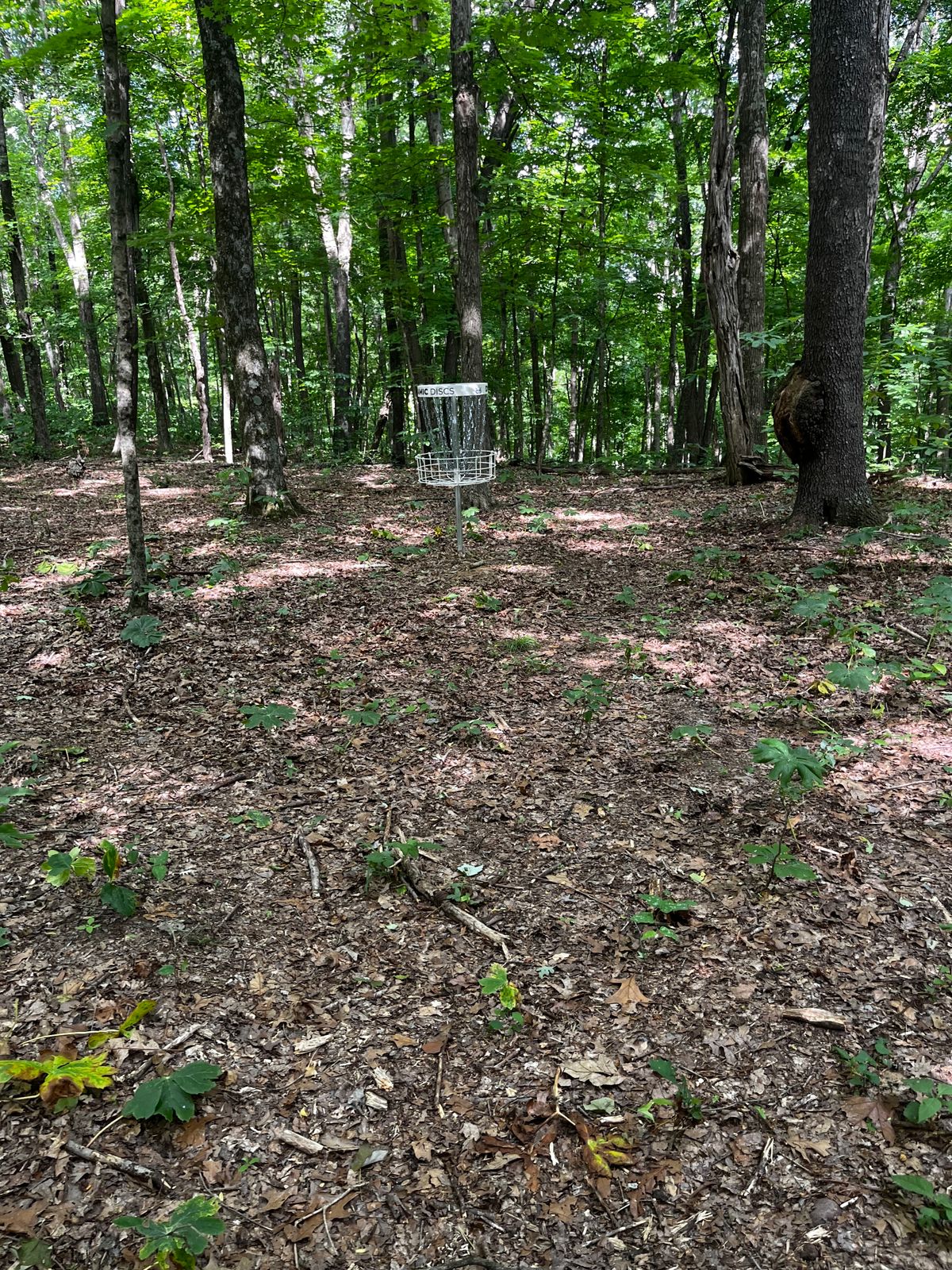 Hole 15 green