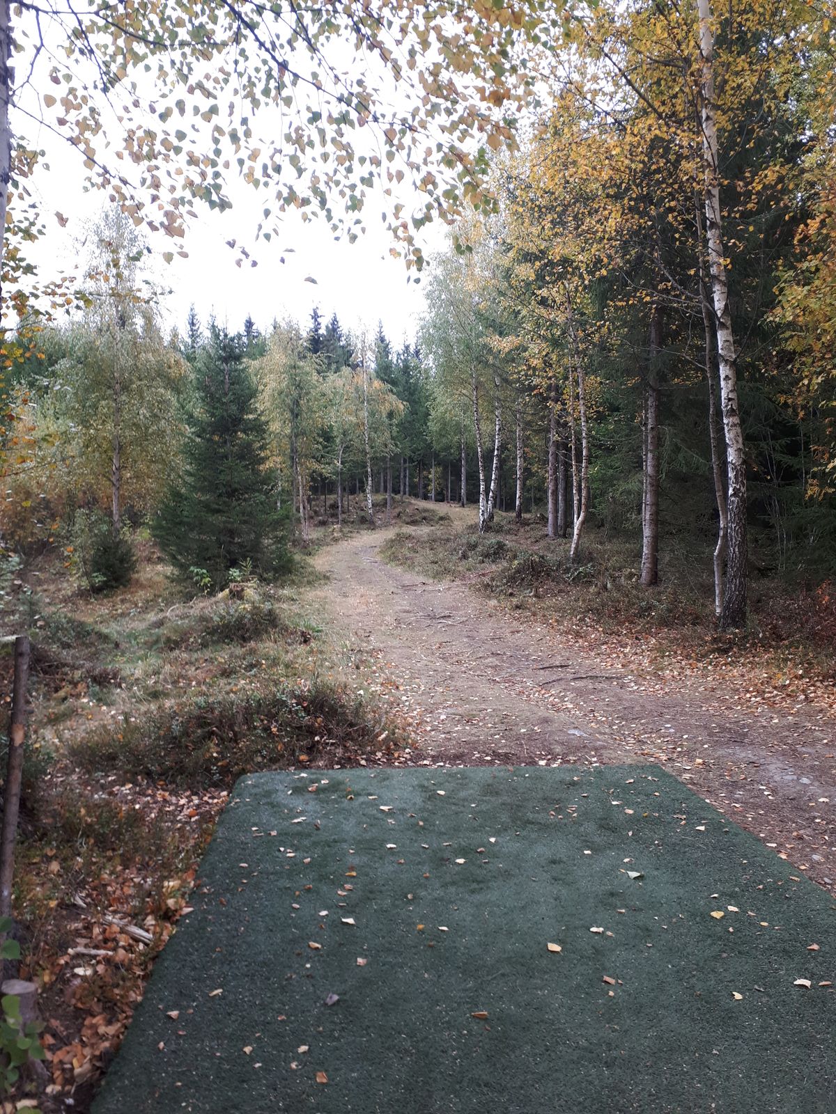 Hole 1, turnover or straight RBH shot