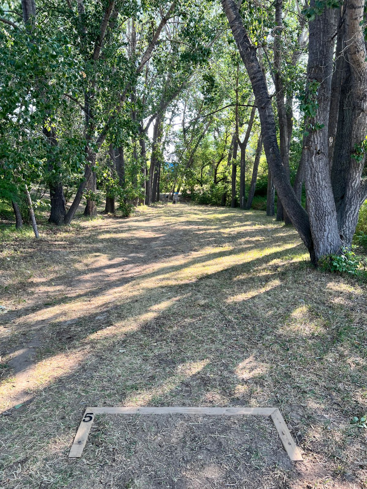 Hole 5.