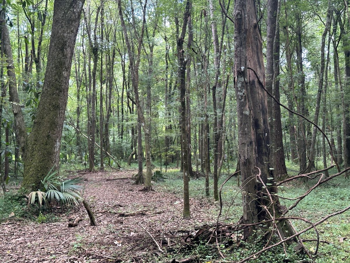 Hole 9. 180’