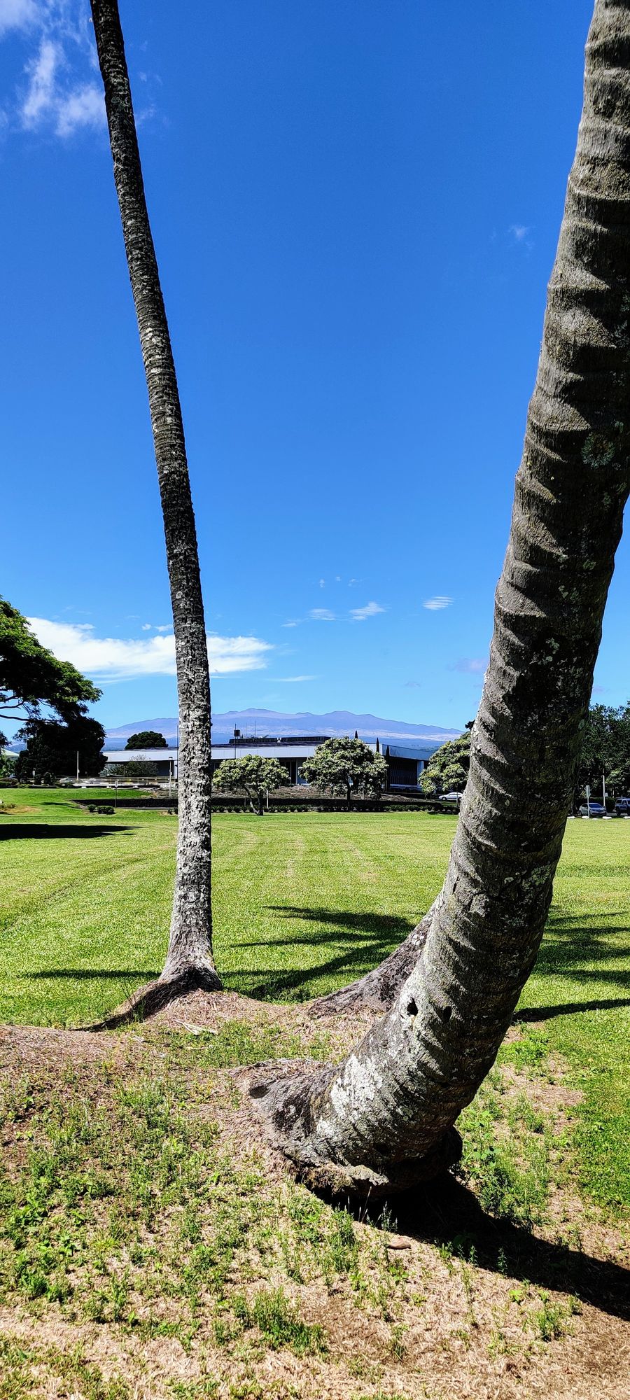 Mauna Kea from Hole #3