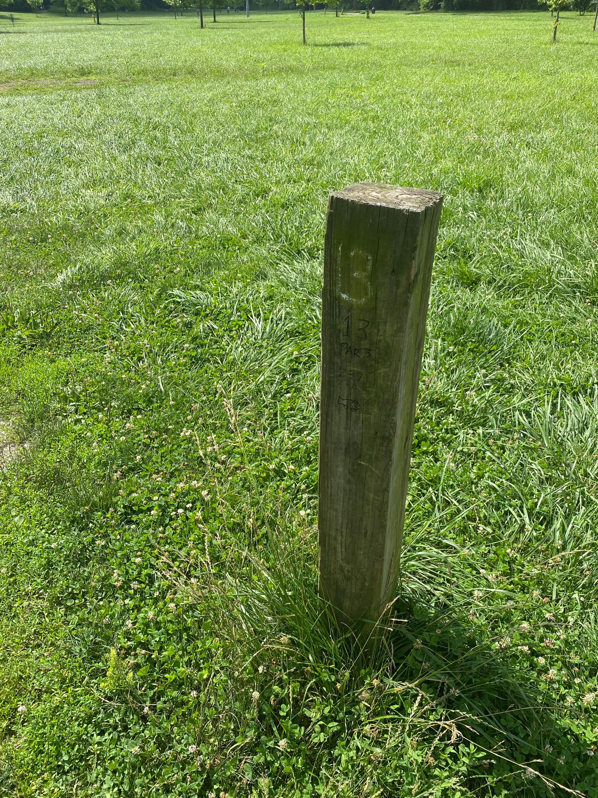 Hole 13: Par 3, 253ft