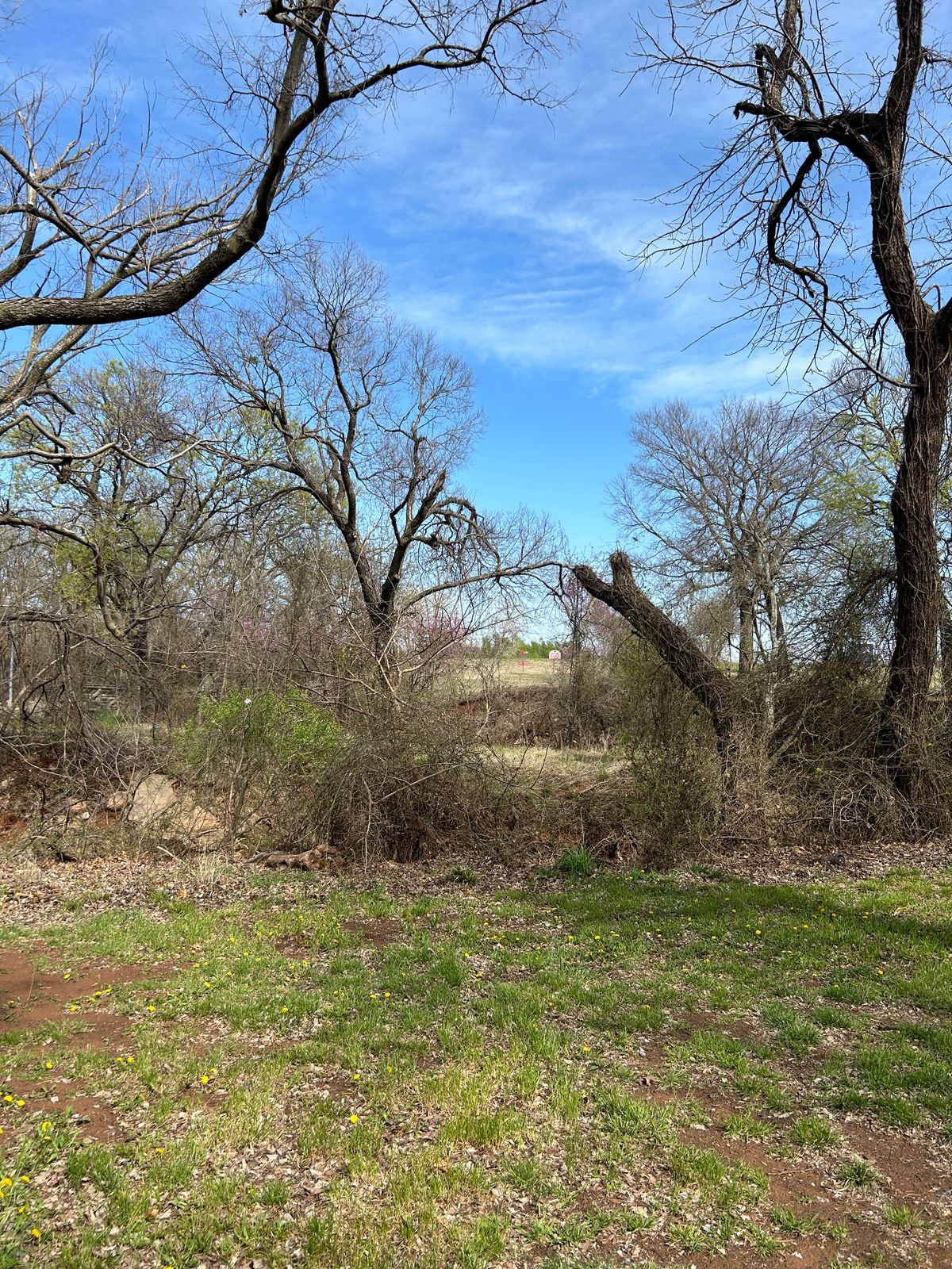 Hole 8