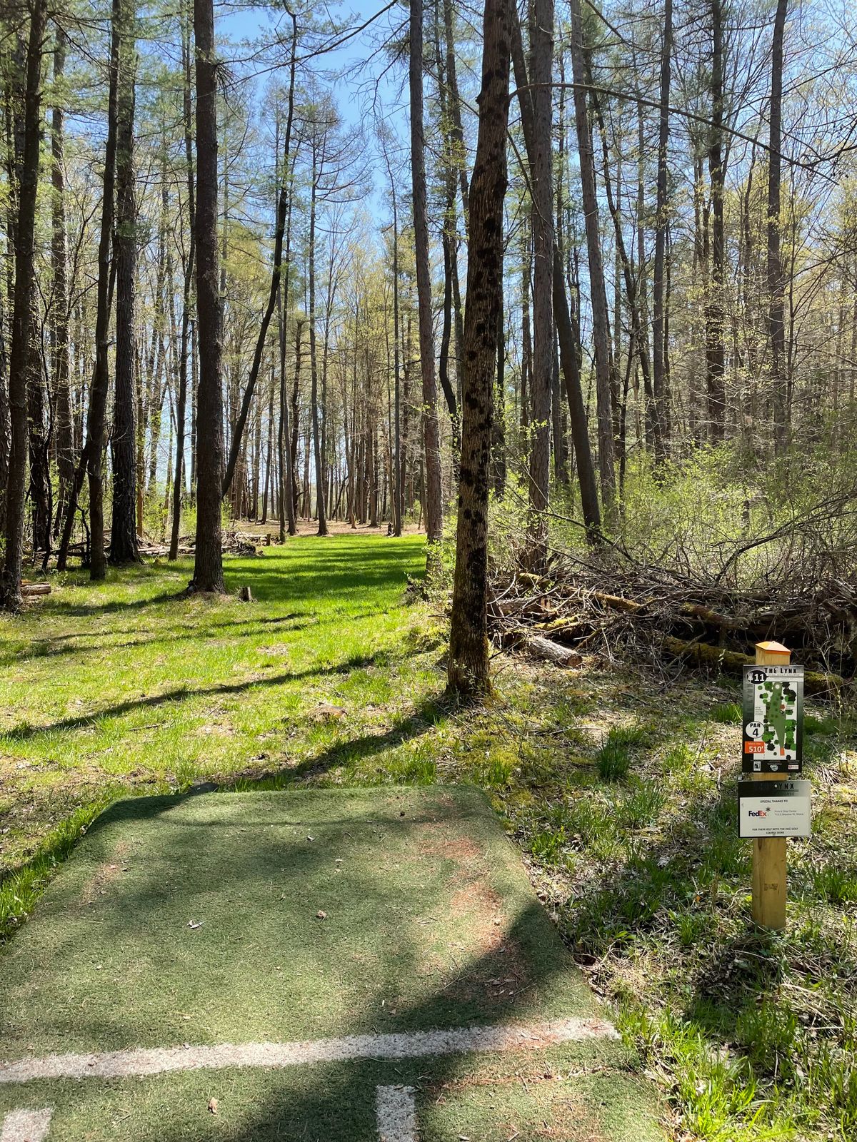 Hole 11, Orange (Short) tee.