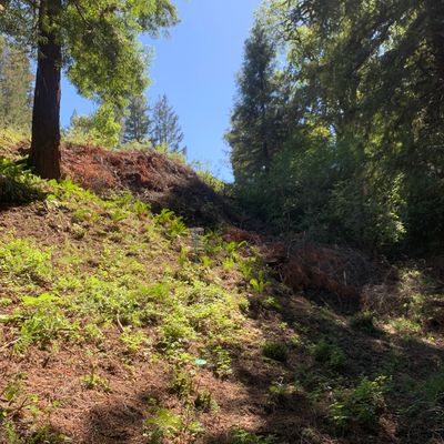 Green of hole 6