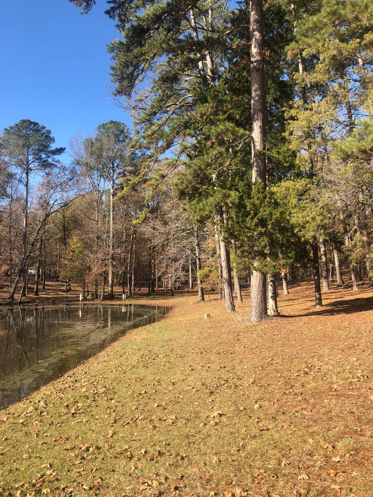 Hole 10B