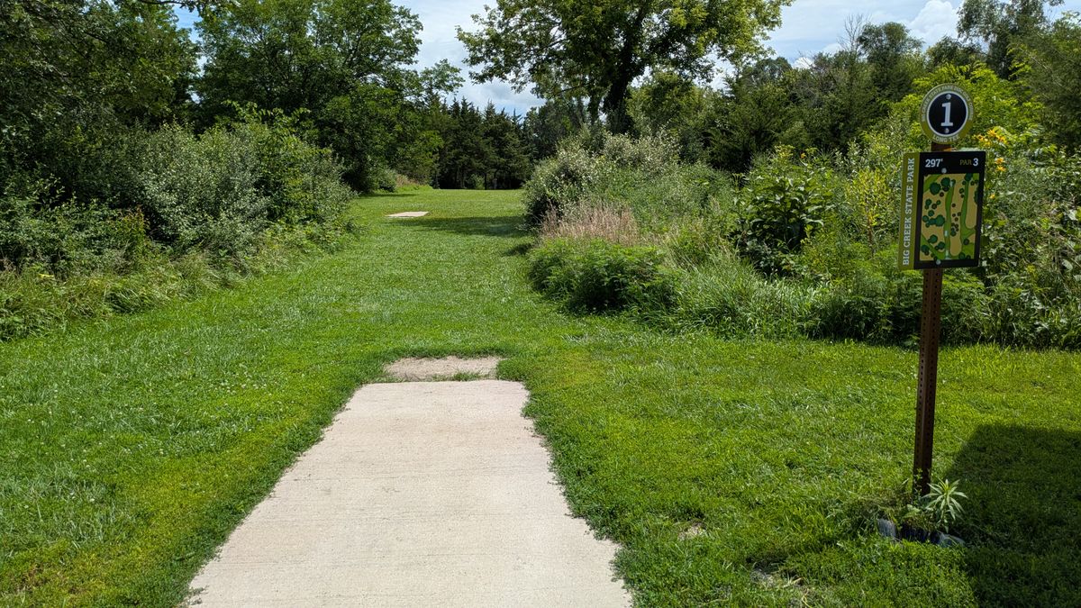 Tee #1 long