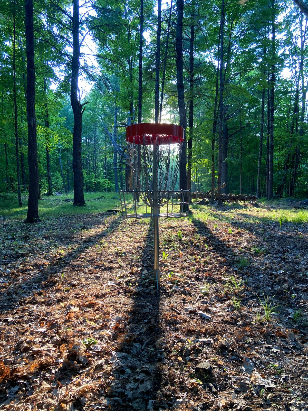 Hole 11 during the golden hour and league night.