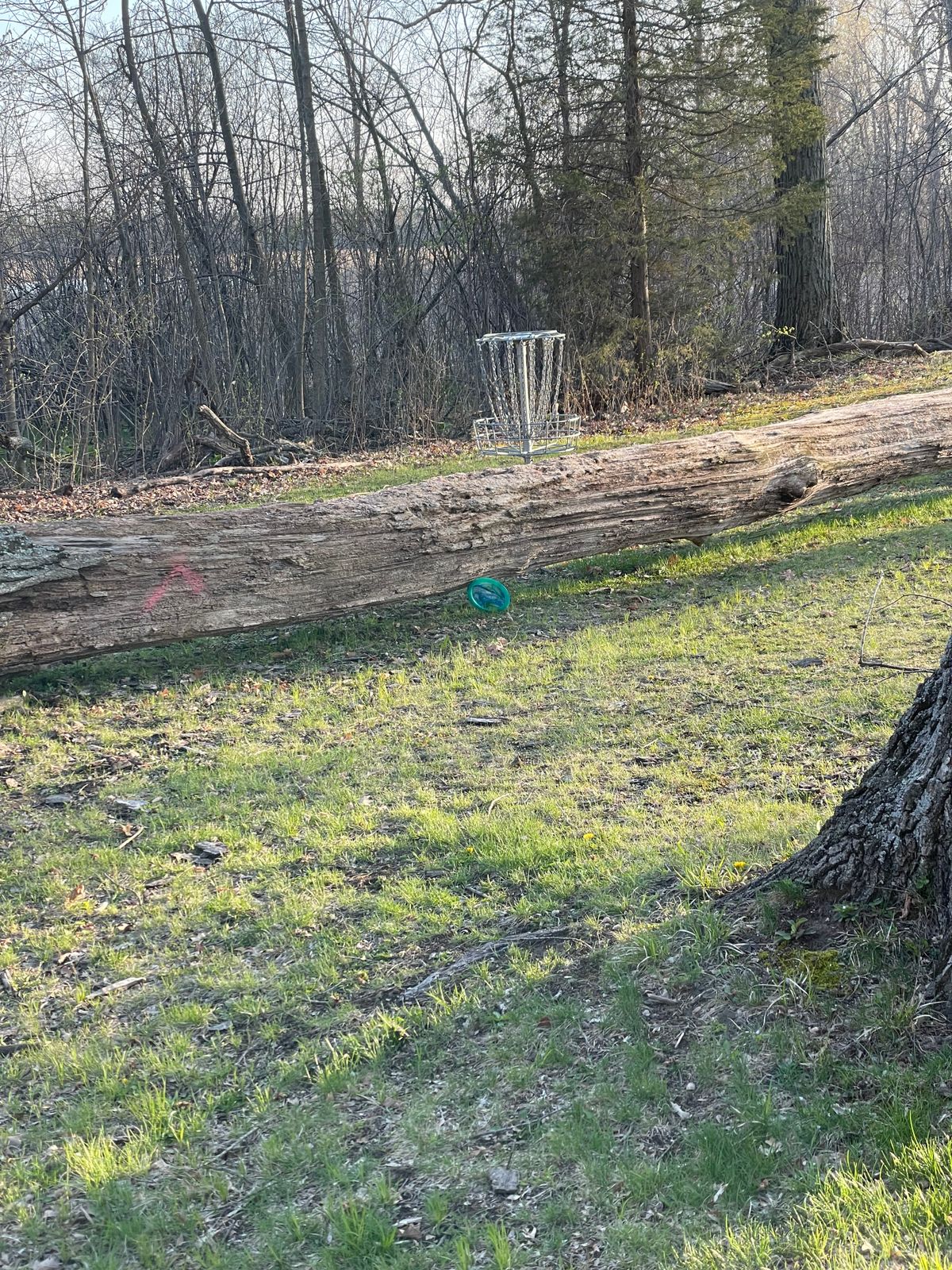 Basket hole 2