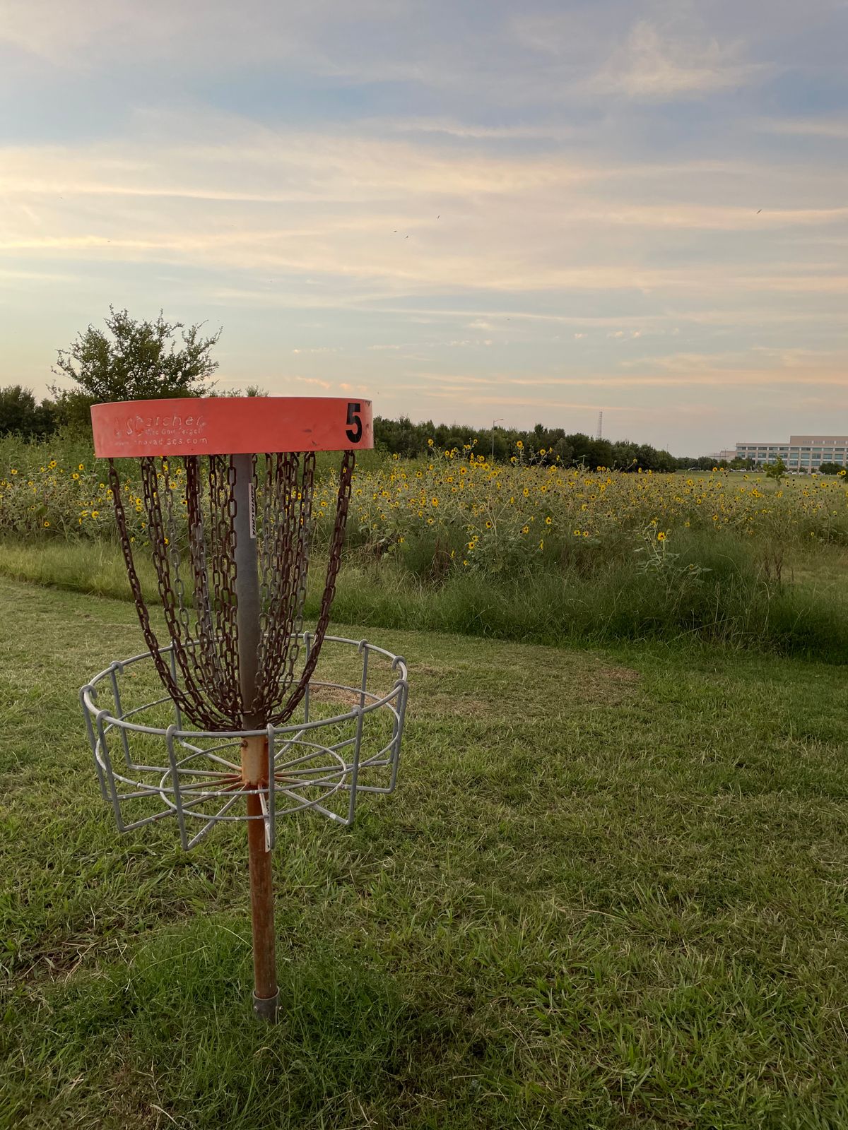 Hole 5