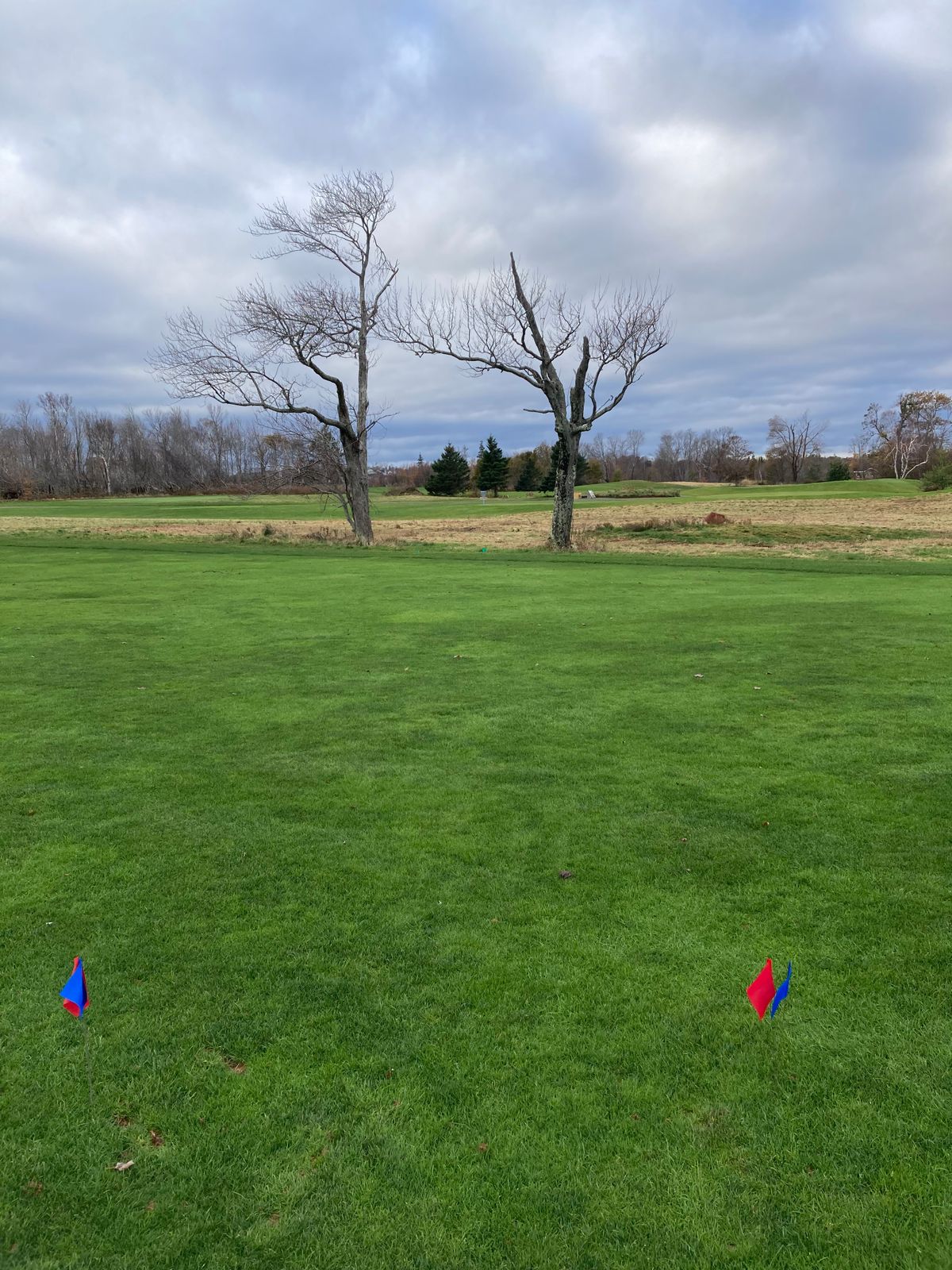 Hole 16 Blue & Red tee.  If you miss the triple mandatory, proceed to the Green tee.