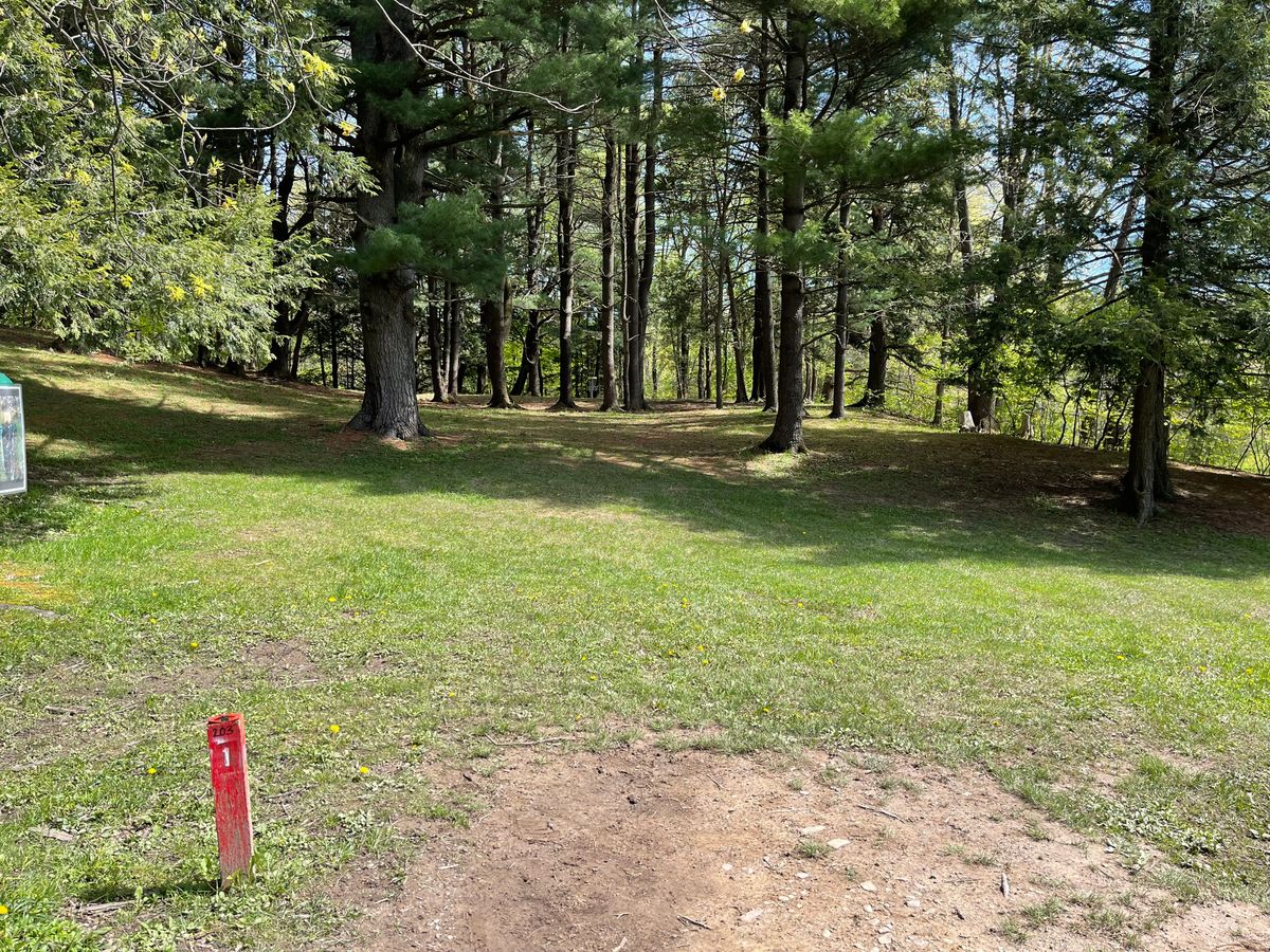 Hole 1 Short Tee