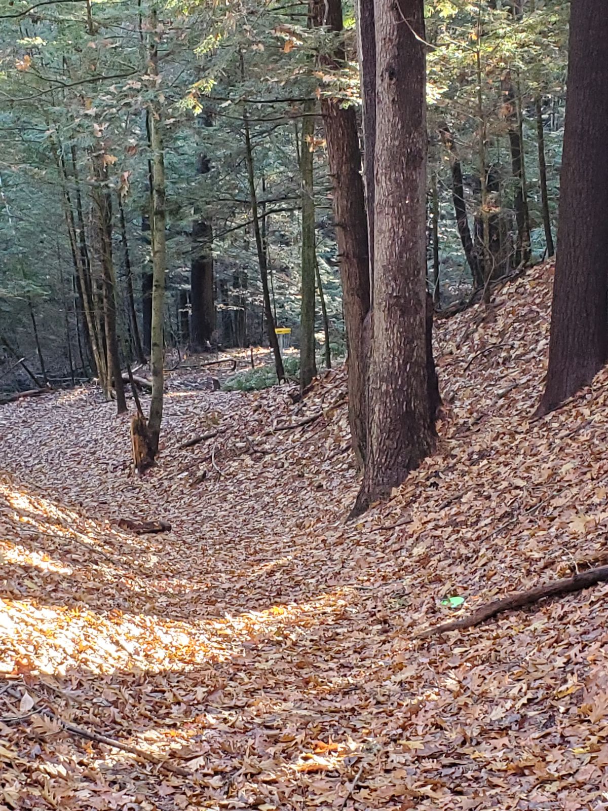 Hole 4