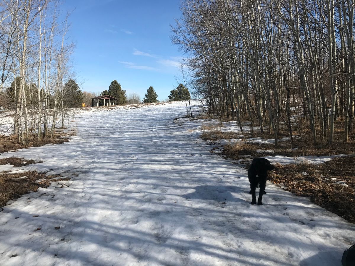 Hole 2 before the