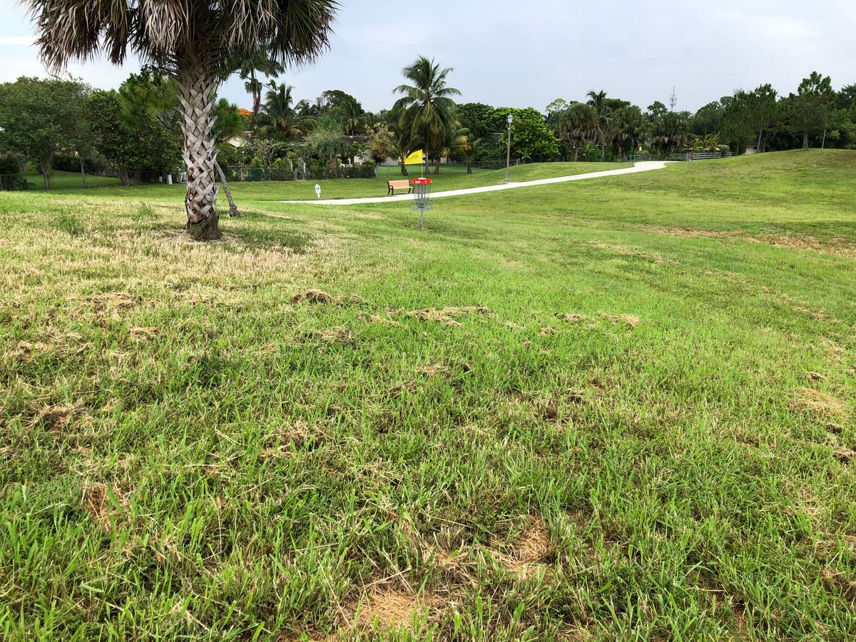 7 approach