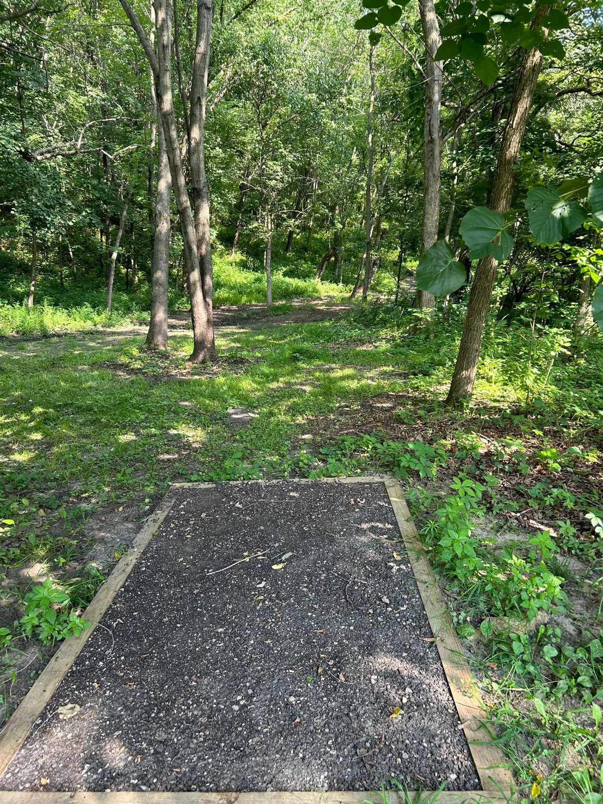 Hole 5 teepad - odd hole