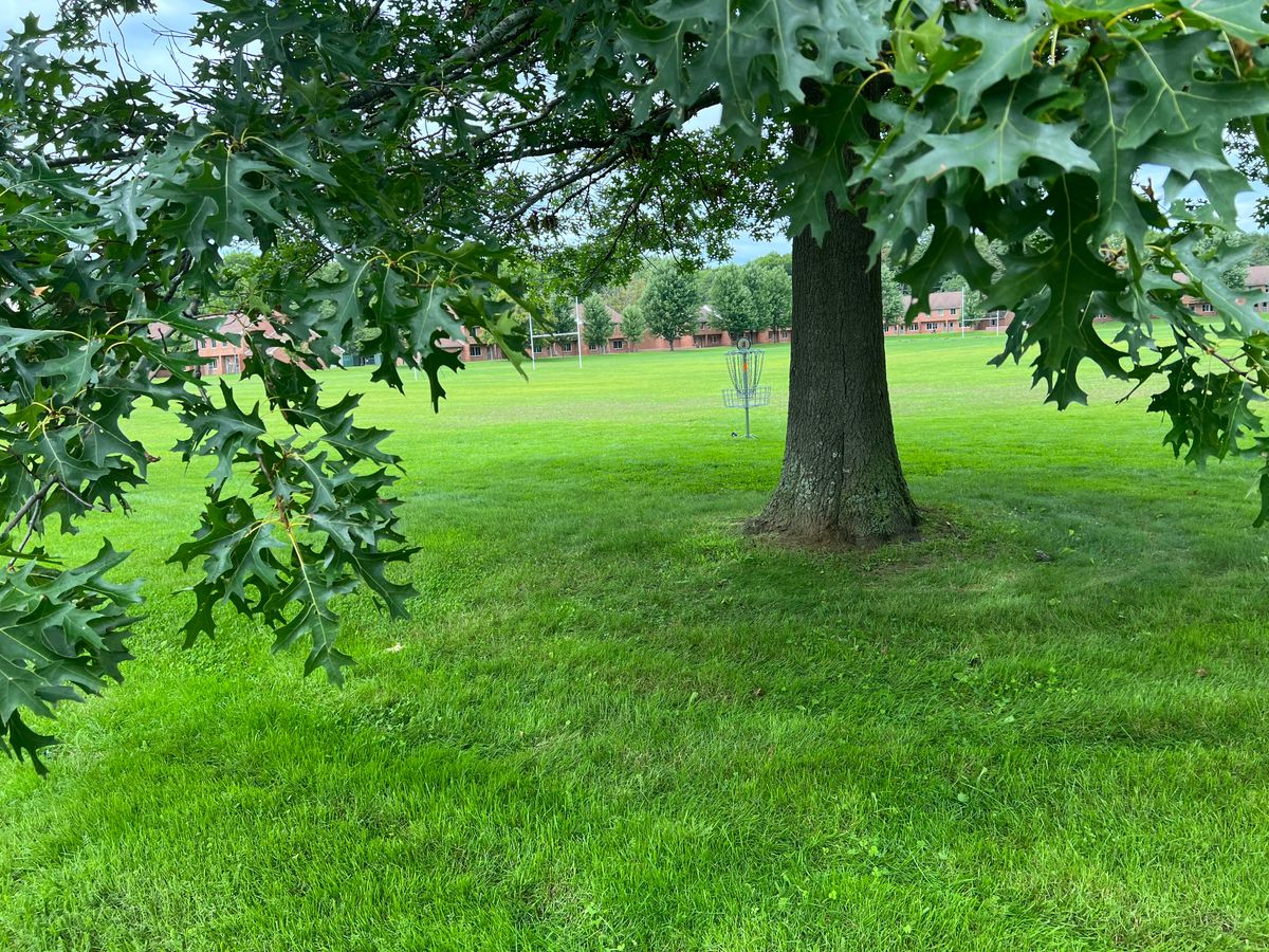 Hole 6 basket