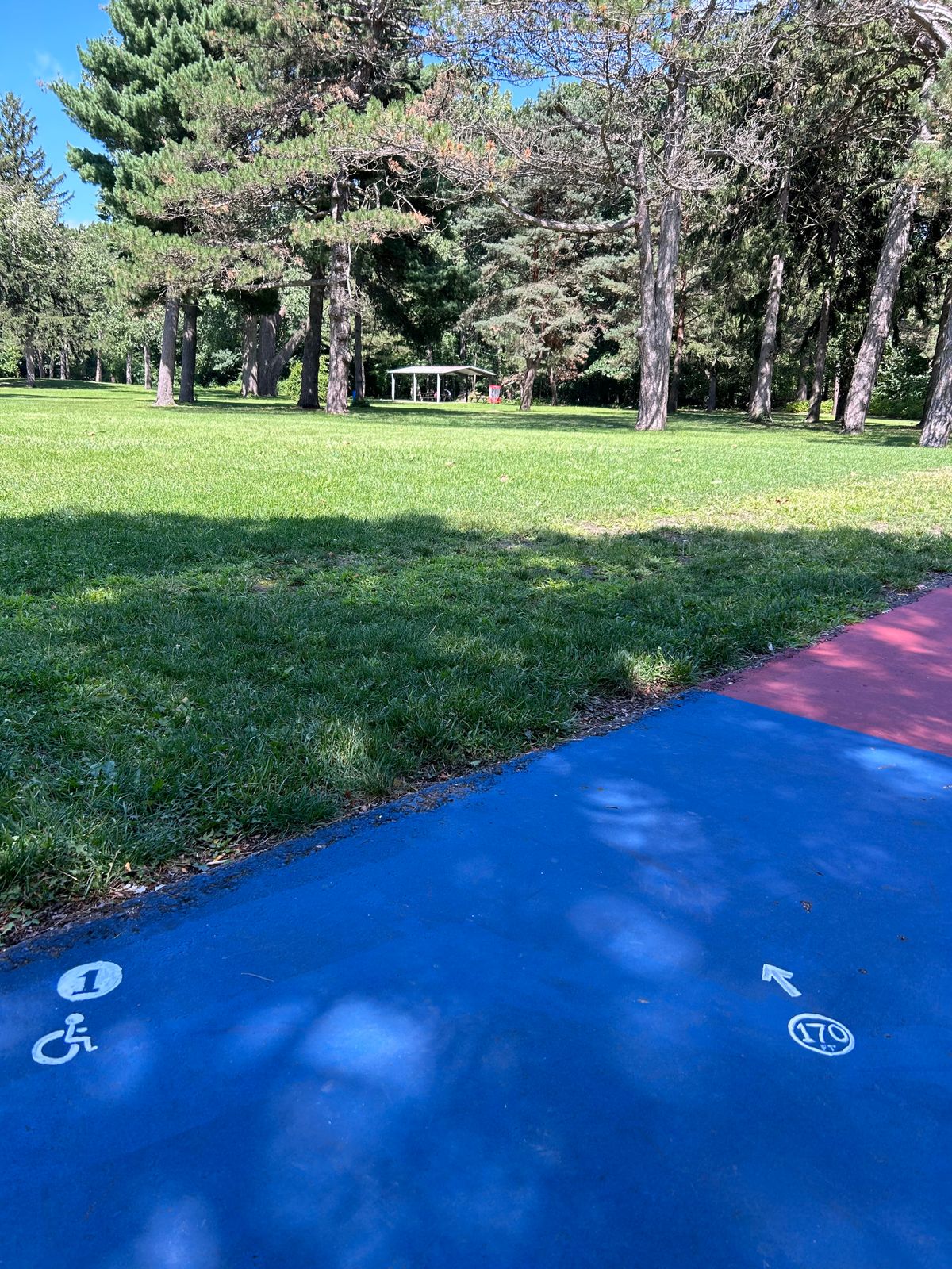 Wheel chair friendly tee 1 on basketball court