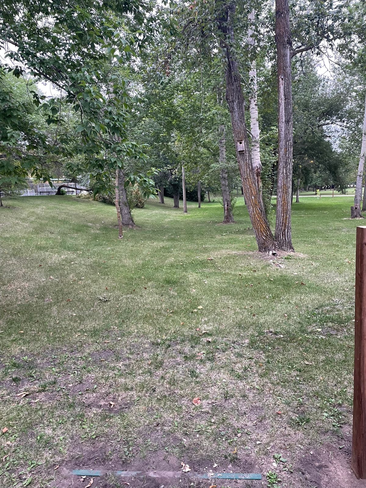 Tee 3