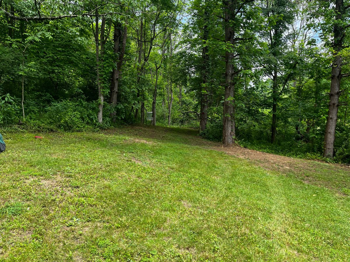 Looking into hole 1 green